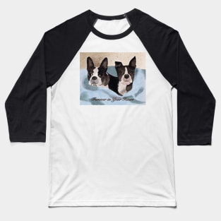 Beloved Boston Terriers Baseball T-Shirt